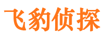 北林侦探公司